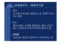 사회과학 성의 해부학-9