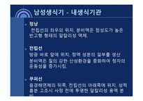 사회과학 성의 해부학-10