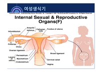 사회과학 성의 해부학-12