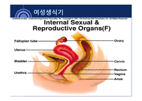 사회과학 성의 해부학-14