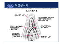 사회과학 성의 해부학-15