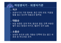 사회과학 성의 해부학-16