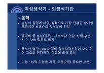 사회과학 성의 해부학-17