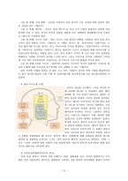 NLP 정의 역사 이론적 배경 전제조건 주요기법 적용사례-12
