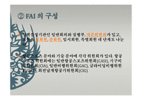 국제항공기구와 항공관련 조약 IATA-17