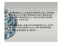 국제항공기구와 항공관련 조약 IATA-18