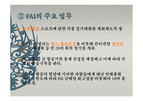 국제항공기구와 항공관련 조약 IATA-19