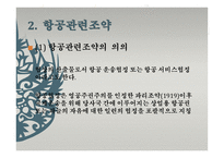 국제항공기구와 항공관련 조약 IATA-20
