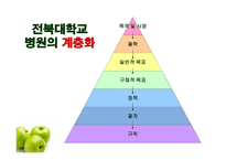 병원 기획의 계층화 사례-8