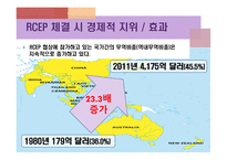 국제 무역학 RCEP-8