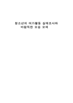청소년의 여가활동 실태조사와 바람직한 모습 모색-1