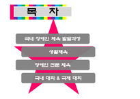 장애인 생활 체육 국내 장애인 체육 발달과정 생활체육 장애인 전문 체육 장애인 체육 국제 대회 장애인 체육 국내 대회 장애인 생활 체육 종목 장애인 생활 체육 센터-2