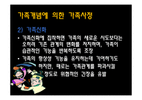 가족 사정 가족 사정 객관적 사정 방법 가족 사정 맥 매스터 모델 가족 사정 문제-19