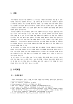 CFD를 이용한 스포일러에 의한 자동차의 양력과 항력의 상관관계 연구-2