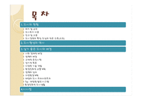 걷고 싶은 도시 프라이부르크-2