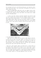 한국과 세계 속의 YWCA-11