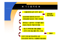The Thirties John Steinbeck 존 스타인벡 Thomas Wolfe 토머스 울프 Henry Miller 헨리 밀러 분노의 포도 에덴의 동쪽 천사여 고향을 보라 북회귀선 존 스타인백 토마스 울프 핸리밀러-8