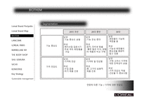 로레알의 브랜드 관리 PPT-8