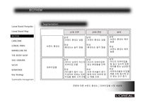 로레알의 브랜드 관리 PPT-9
