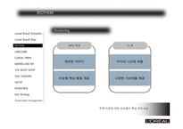 로레알의 브랜드 관리 PPT-11