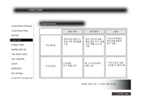 로레알의 브랜드 관리 PPT-14