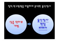 이데올로기 관점에서 바라본 사회갈등 현상에 대한 언론보도-19