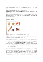 음악교재연구 창작지도-9