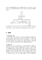 이스라엘의 정보기관(이스라엘 정보기관의 종류와 역할 에 관하여)-5