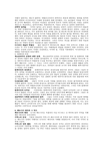 메소포타미아 및 페르시아 문명-4