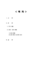 아르헨티나의 경제 발전-2