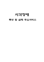 시각장애 특성 및 실태 주요서비스-1