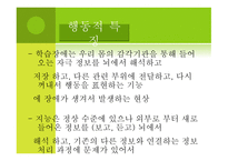 아동기 발달장애 품행장애 학습장애 반사회적 행동 공격성 학교공포증 소아우울-10