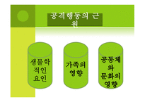 아동기 발달장애 품행장애 학습장애 반사회적 행동 공격성 학교공포증 소아우울-19