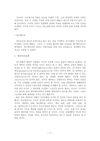 문화콘텐츠 치우천황-11