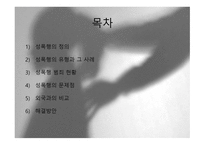 성폭행- 성폭행 정의 성폭행 유형 성폭행 사례 성폭행 문제점 성폭력 범죄 처벌-2