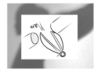 성폭행- 성폭행 정의 성폭행 유형 성폭행 사례 성폭행 문제점 성폭력 범죄 처벌-16