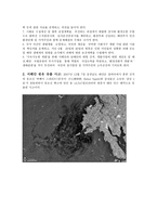 수질 오염 사고 사례 시화호 오염 사건-3