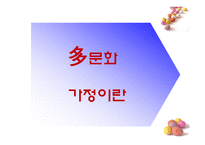 문화가정 아동 다문화가정 정의 다문화가정 유형 다문화가정 현황 다문화가정-3