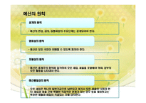 사회복지조직의 재정관리 -사회복지조직 재정관리 특성 사회복지조직 예산-10