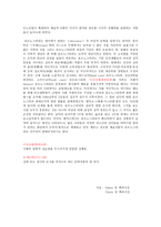 포르노그라피의 이론설명-2
