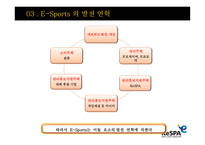 E Sports E Sports 정의 E Sports 보급화 요인 E Sports 발전 연혁-14