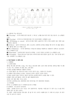인간행동과 사회환경 -태아기 청년기-5