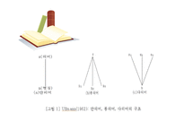 다의어와 동음어 -개념 생성원인 유형 충돌 동음어 구별-5