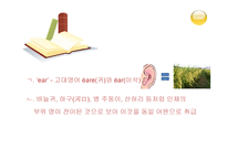 다의어와 동음어 -개념 생성원인 유형 충돌 동음어 구별-20