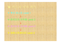겨울의 낭만스포츠 스키-15