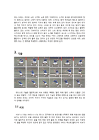라켓 스포츠 테니스-7