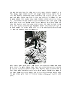 서양미술사 1945 1949-17