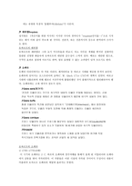 고전주의 음악과 모짜르트 모짜르트 생애 고전주의 음악 모짜르트 음악-4