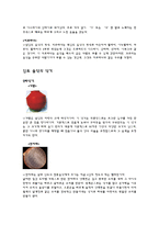 인도 음악 인도 전통 음악 역사 고전시대 음조직 중세 인도 음악 근대 인도 음악 인도 음악 조사 인도 음악 연구 인도 음악 분석 인도 음악 소고 인도 음악 개요 인도 음악 고찰 인도 음악-5