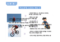 레저산업론 익스트림 스포츠 Extreme Sports-9